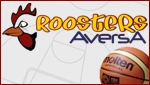 roosters_banner